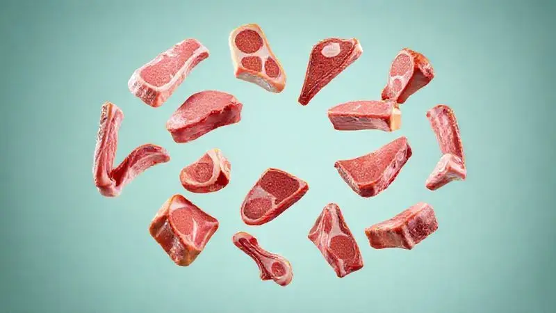 Ilustração 3D conceitual de doze cortes diferentes de carne flutuando, representando as melhores opções para assar.